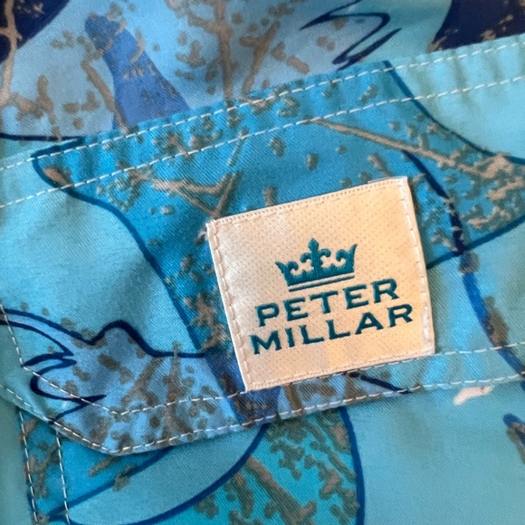 Peter Millar “RAYS” Summer Swim short - Picture 4 of 6